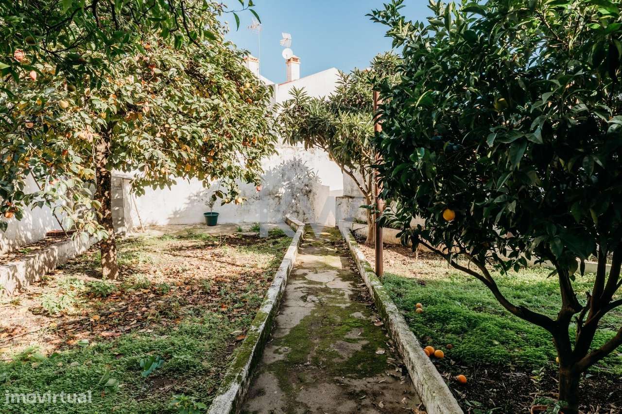 Solar Alentejano Centenário em Alter do Chão - Grande imagem: 2/21