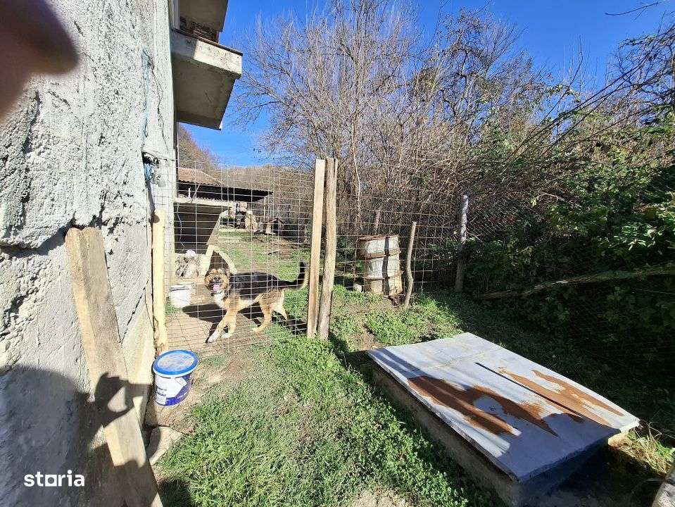 Comision 0 - Vila de vacanta in sat Șuvita, judetul Dambovita-10