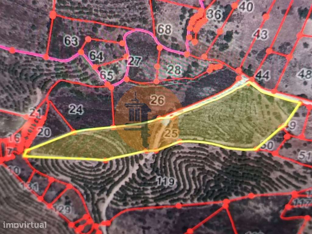 TERRENO RÚSTICO COM 13.120 M2 - TORNEIRO - ALCOUTIM - ALGARVE - Grande imagem: 3/22