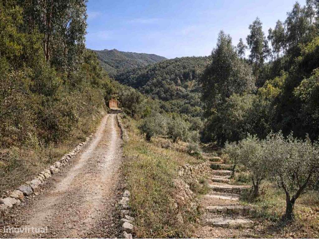 Quinta para Venda nas 'Boucinhas' em Monchique - Grande imagem: 4/42