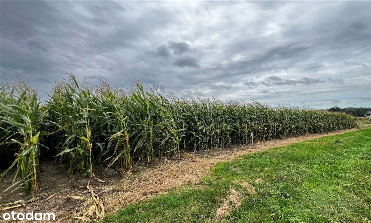 Działki Budowlane Mościska 3656M2-7