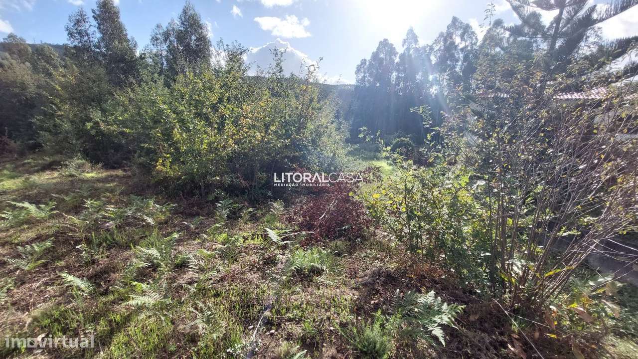 Terreno | Carrazedo do Vouga - Grande imagem: 5/8