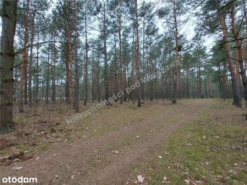 Zielono I Bezpiecznie, Blisko Rzeka Bug. - Pełny obrazek: 5/9