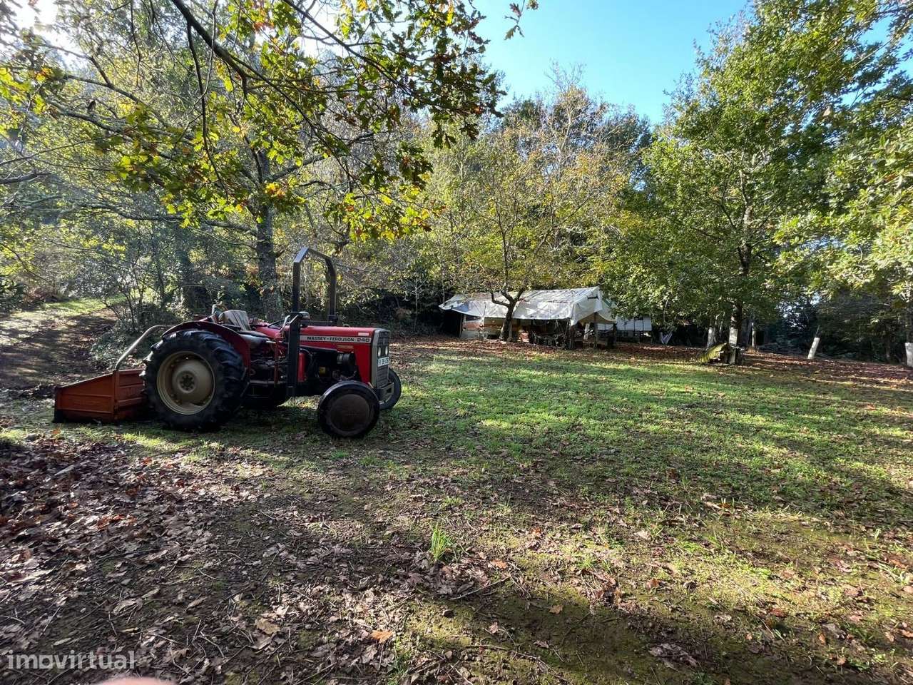 Quinta com casa para recuperar junto a ribeiro-8