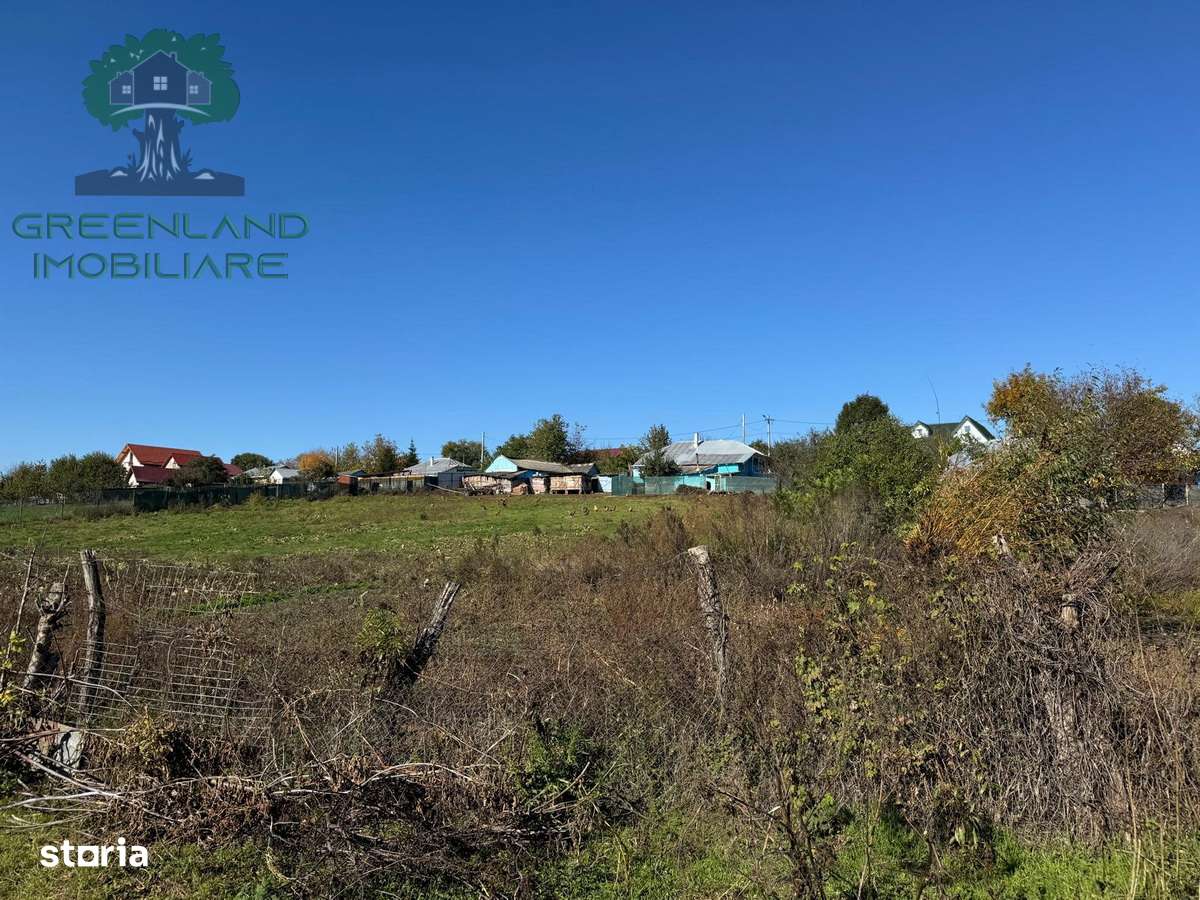 TEREN INTRAVILAN 1500mp, Proselnici-MIROSLAVA - Imagine principală: 2/4
