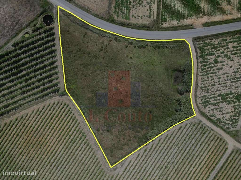 Terreno Rústico para Agricultura - Grande imagem: 2/9