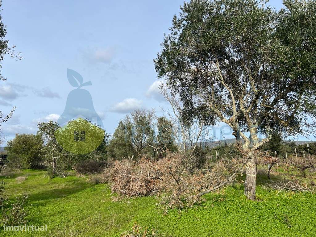 TERRENO RÚSTICO 1680 M2 EM ALCARIA-PADERNE - Grande imagem: 4/20