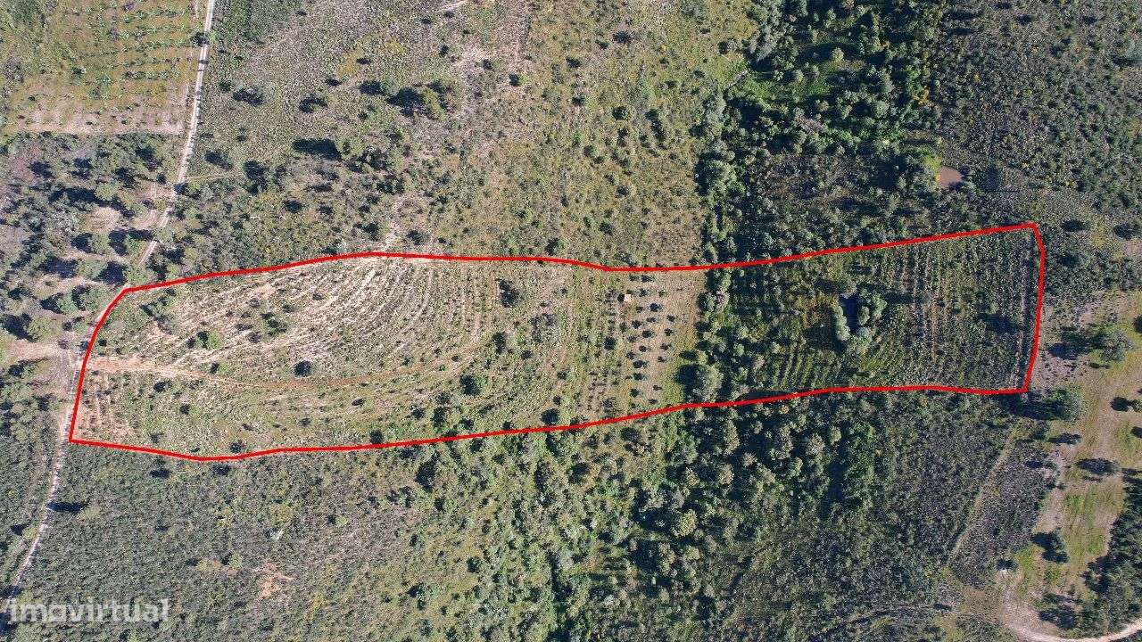 Terreno - Grande imagem: 2/6