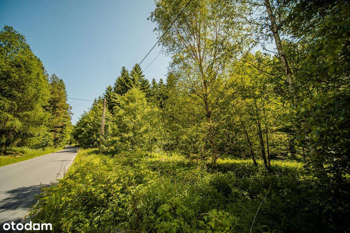 Działka budowlana z linią brzegową górskiego potoku-7