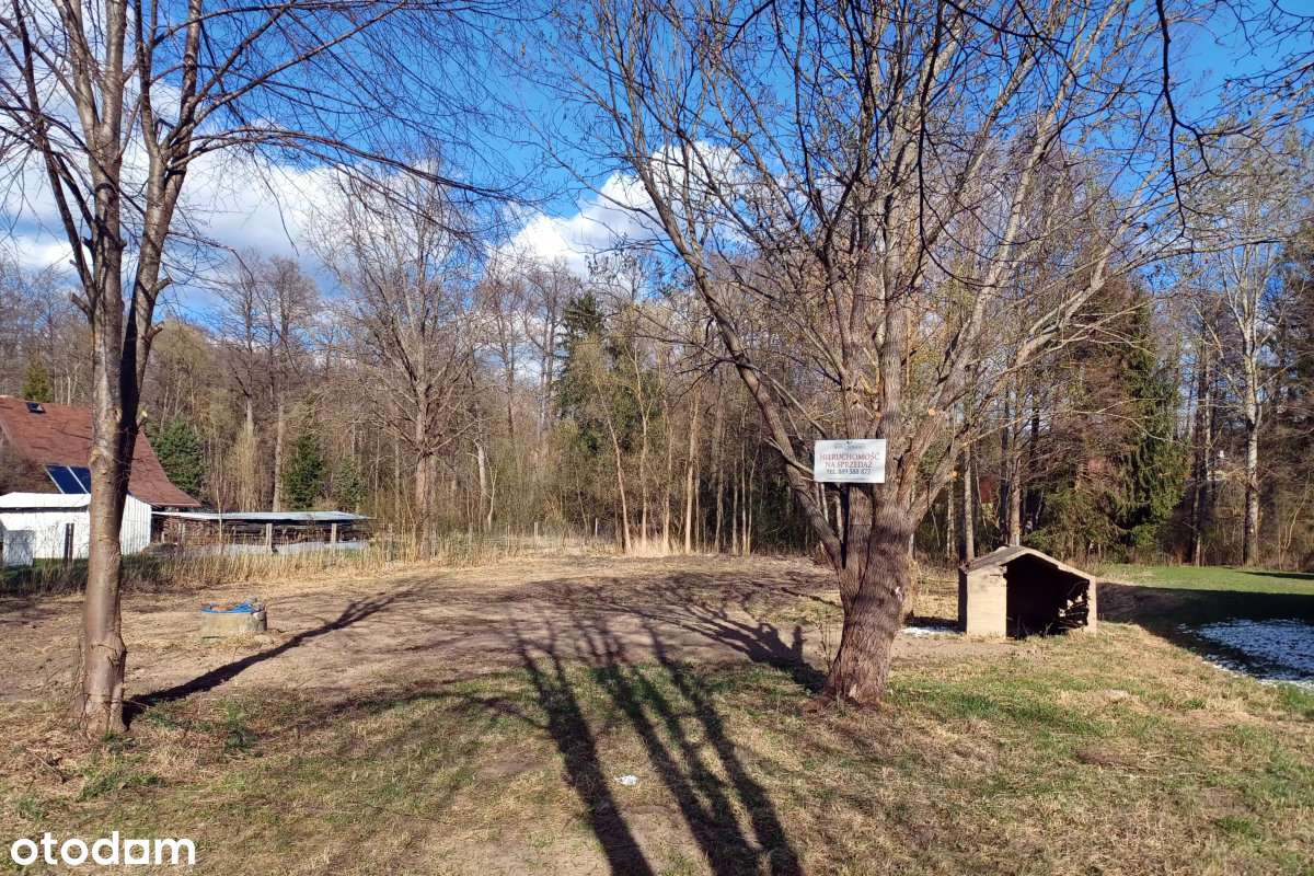 Działki pod zabudowę mieszkaniową w Białowieży. - Pełny obrazek: 4/11