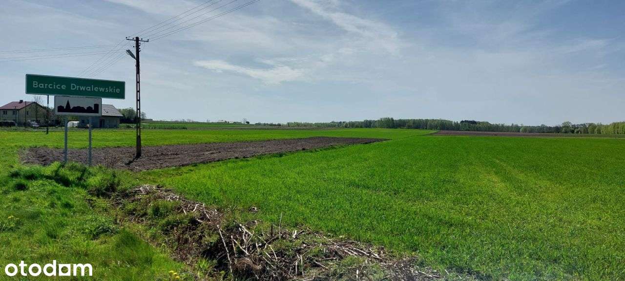 Uzbrojona działka budowlana niedaleko Prażmowa-5