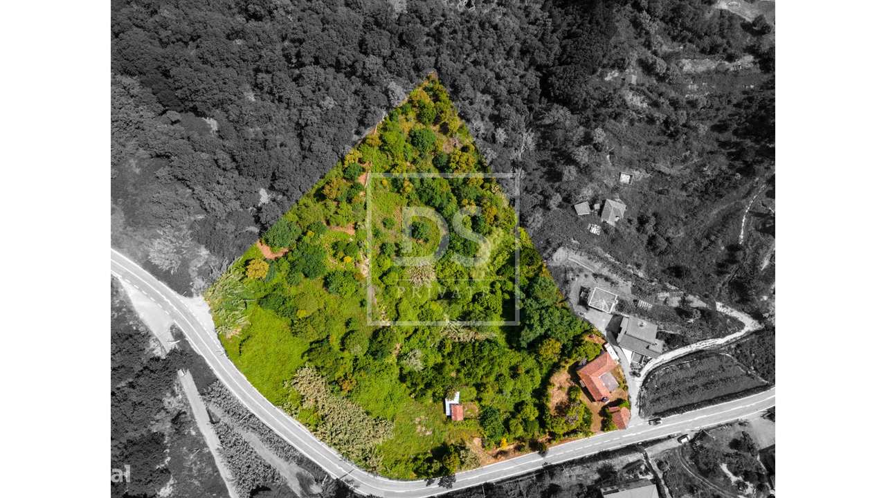 Quinta T3 Venda em Bem Viver,Marco de Canaveses-35