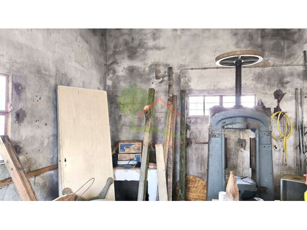 Arrecadação antiga para arrendamento - Grande imagem: 2/6