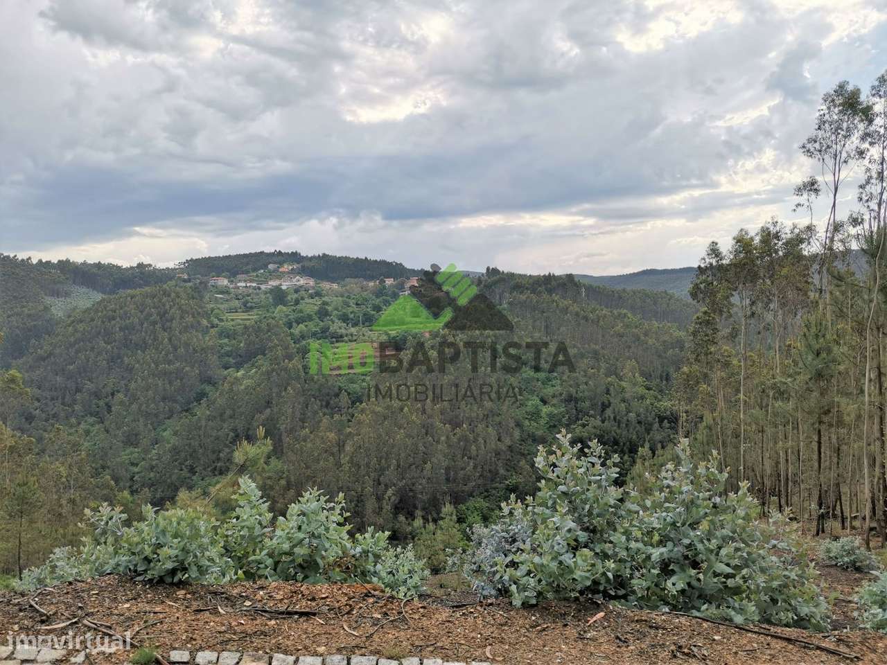 Terreno c/3600 m2 em Canedo - Grande imagem: 3/11