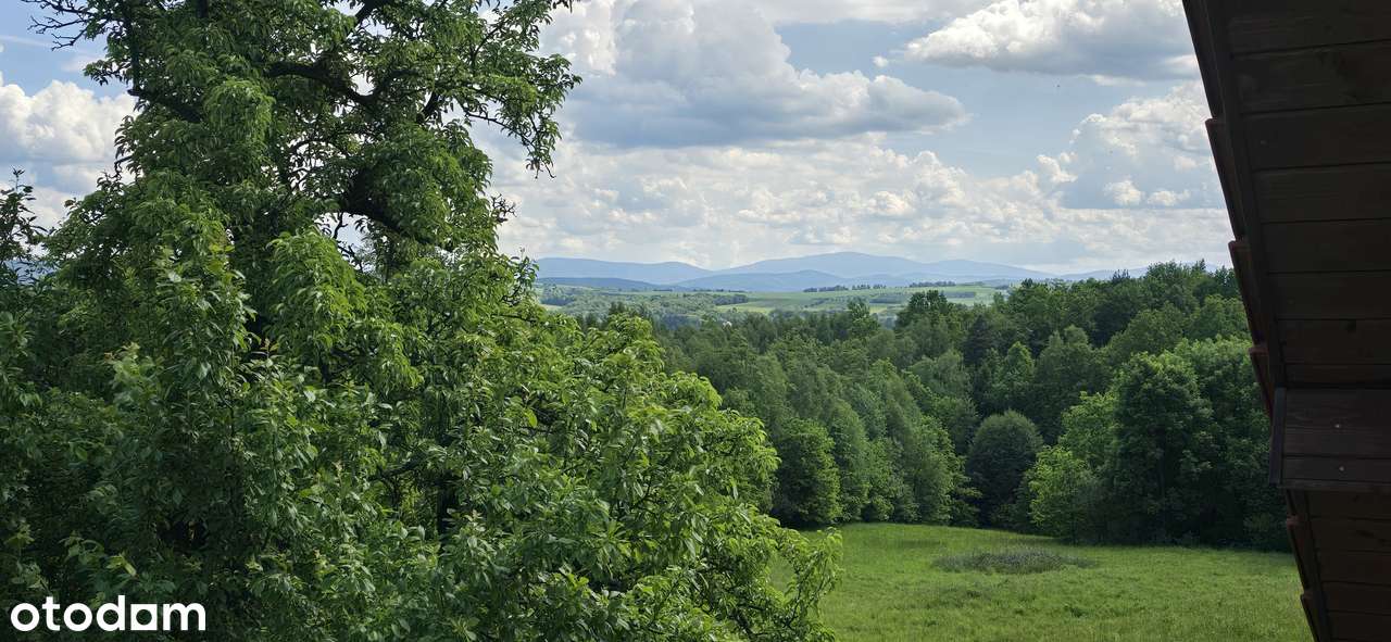 Dom z 3 ha działką na leśnej polanie-4