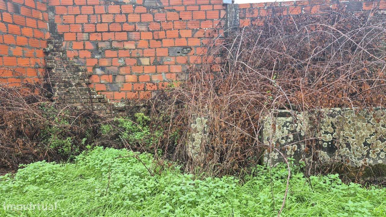 Casa Antiga em Carriço, Pombal - Oportunidade Única-18