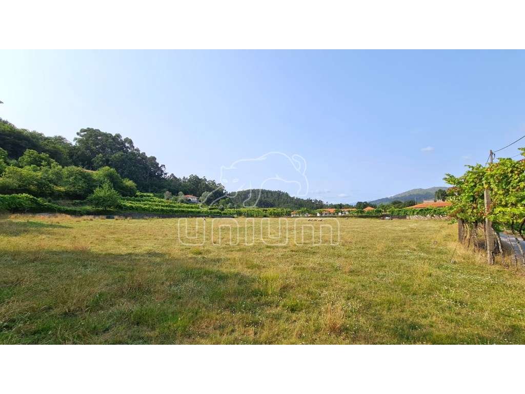 Terreno em Vade - Vila Verde - Grande imagem: 4/15