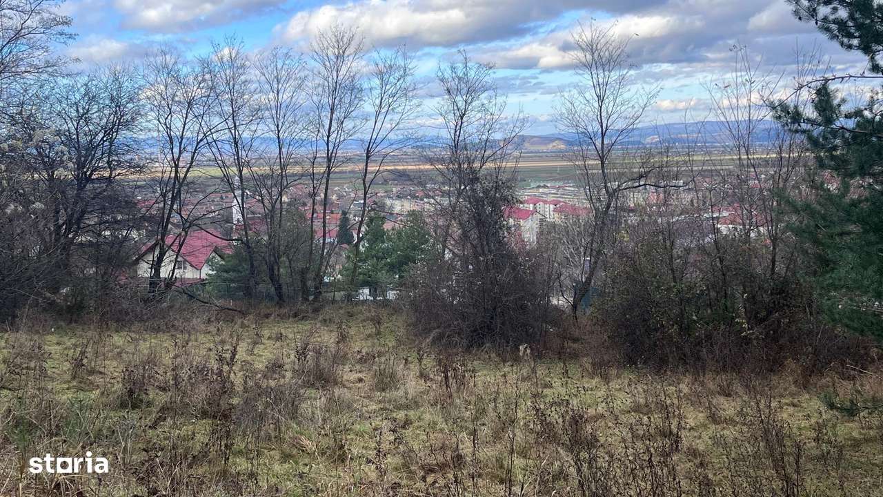 Teren Intravilan 495 mp – Zonă Liniștită -  Strada Livezii-1