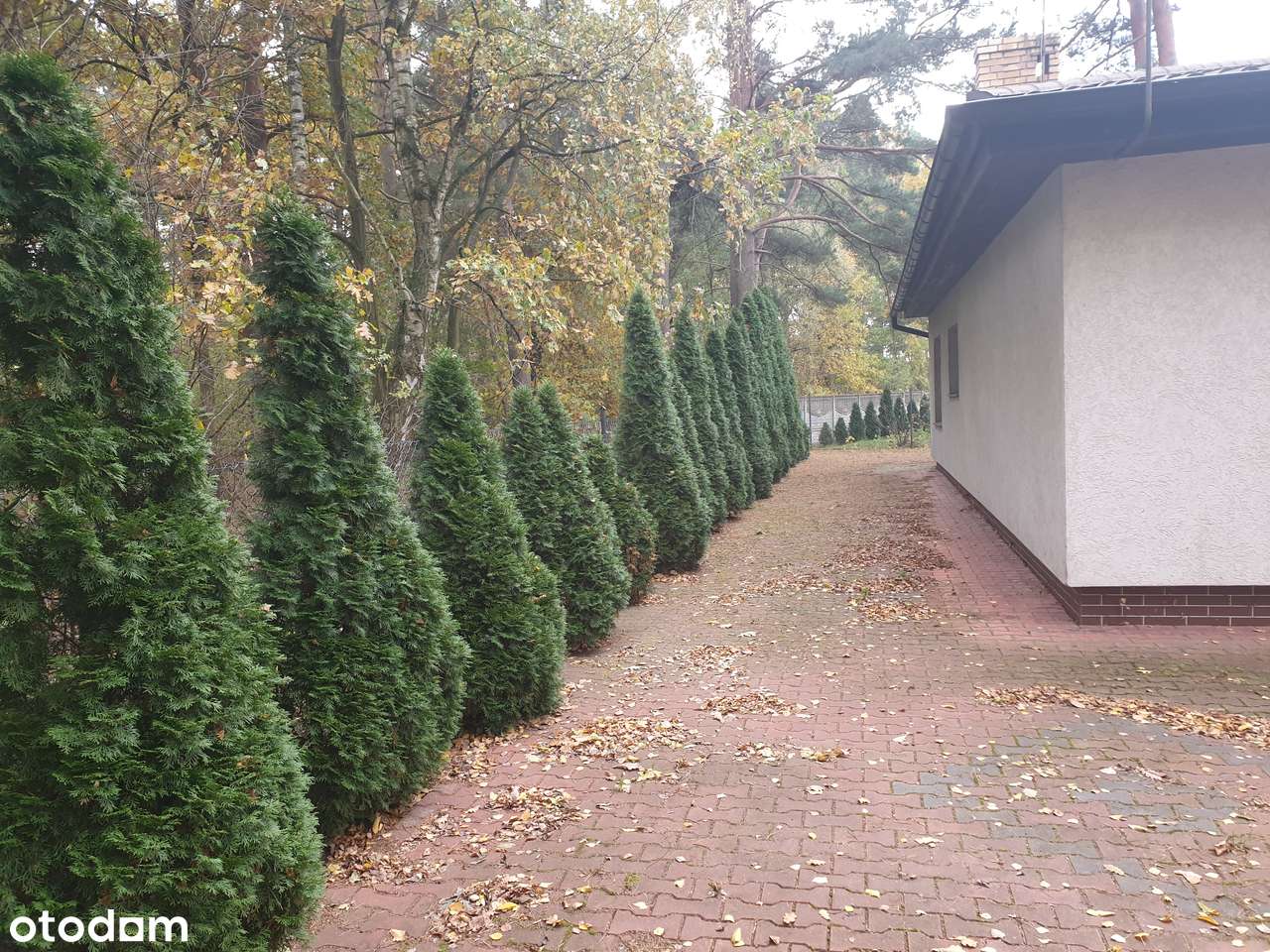 Dom całoroczny nad jeziorem ,spokój,cisza,przy lesie,Brenno ul.Łąkowa - Pełny obrazek: 4/20