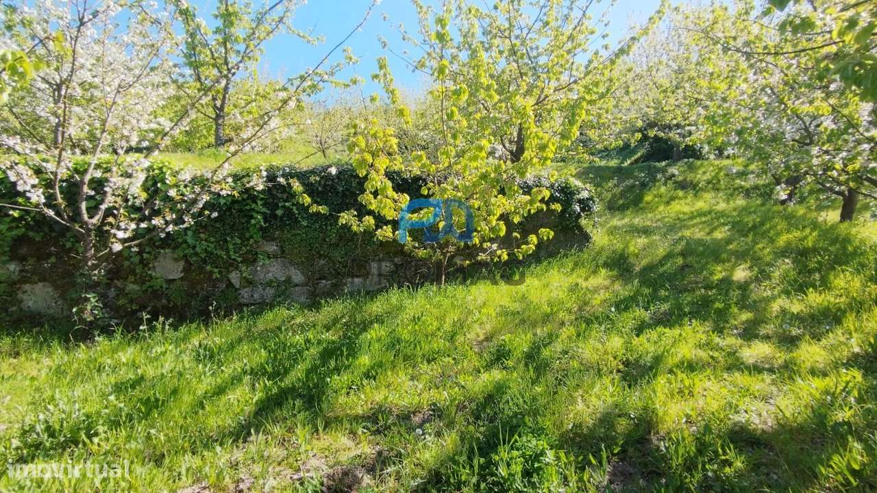 Quinta do Valado- Excelente Investimento em Resende-15