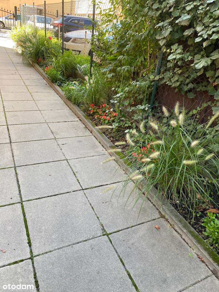 REZERWACJA Garaż w cenie, 3 osobne pokoje plus osobna kuchnia-14