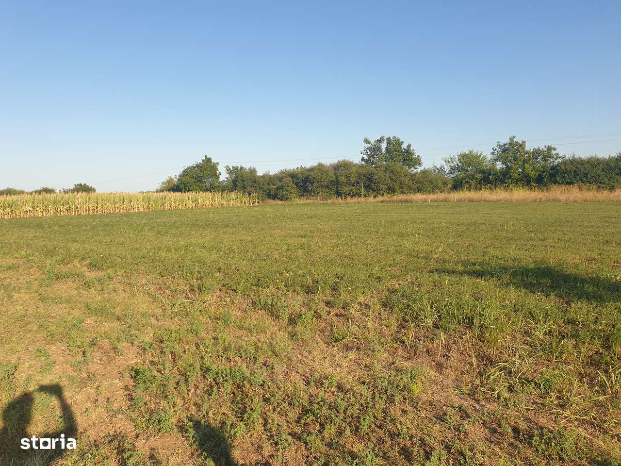 Vanzare teren suprafata de 720 mp. Zadareni - Bodrogul Nou-5