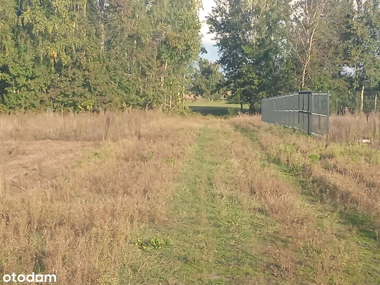 Sprzedam działki budowlane Gzowice Kolonia - Pełny obrazek: 3/6