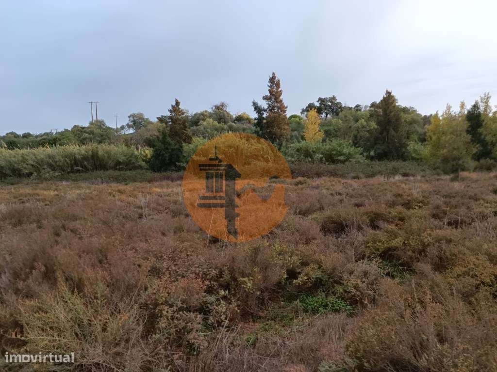 TERRENO RUSTICO COM 9.400 M2 JUNTO A ESTAÇÃO DE COMBOIO DE CASTRO M...-12