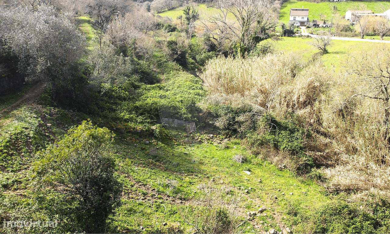 Terreno  para venda-6