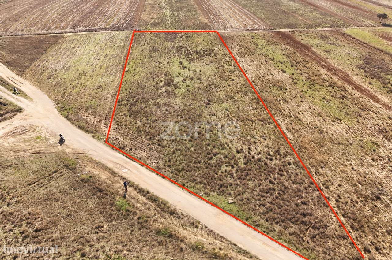 Terreno em Tunes - Grande imagem: 2/17