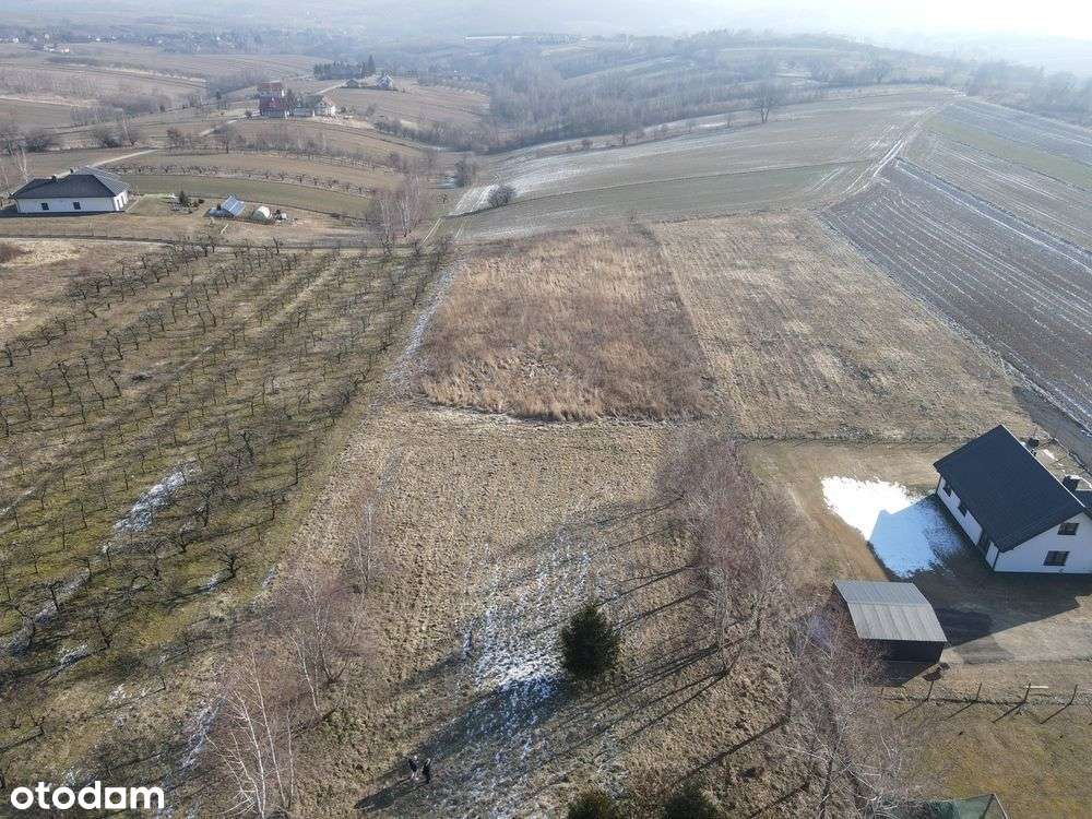 Płaska widokowa działka 10 ar - Krasieniec Zakupny - Pełny obrazek: 5/9