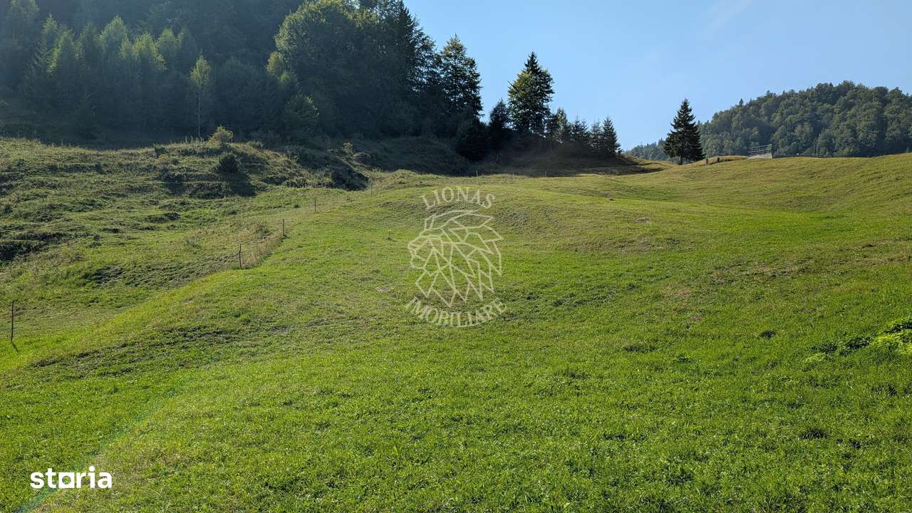 Oportunitate!Teren intravilan 61.38400mp-Parcelabil-utilitati-Colibita - Imagine principală: 2/6