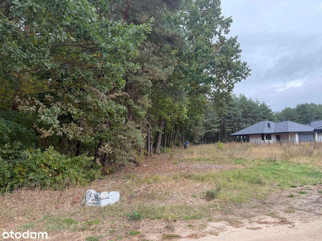 Działka Serock Marynino ulica Cedrowa-8