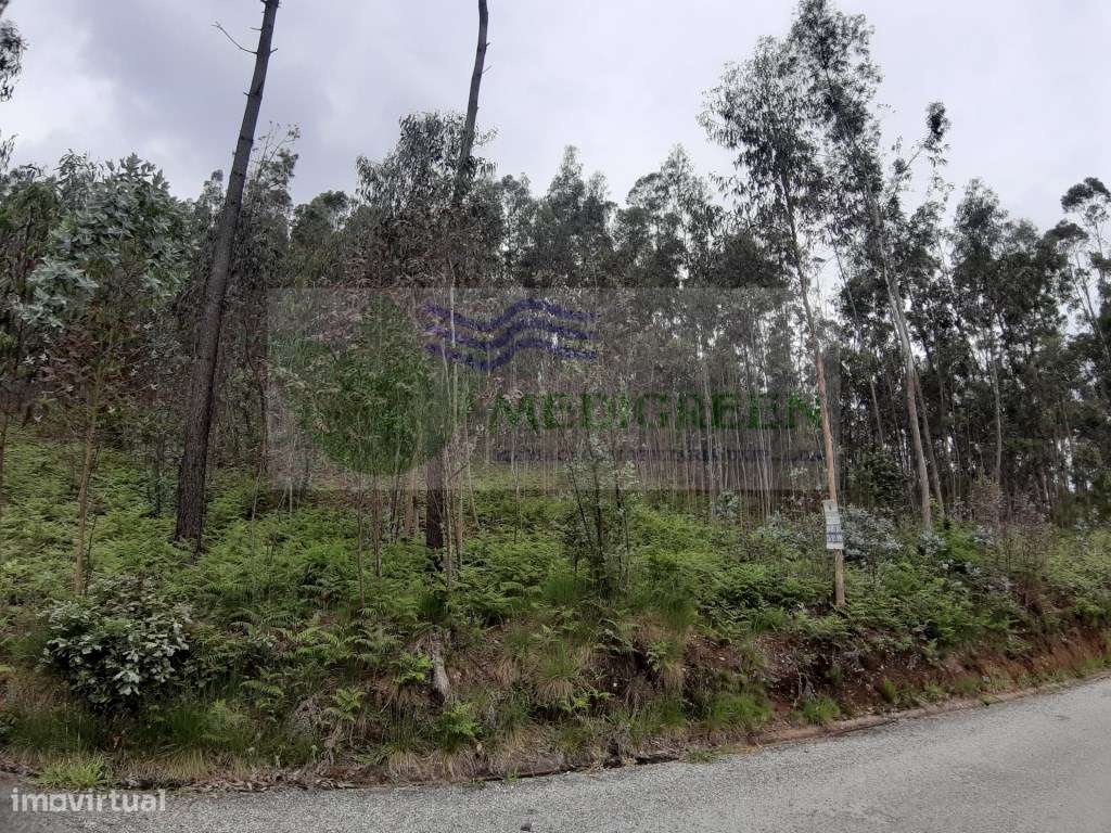 TERRENO COM VIABILIDADE DE CONSTRUÇÃO PROXIMO A VILA - Grande imagem: 4/5