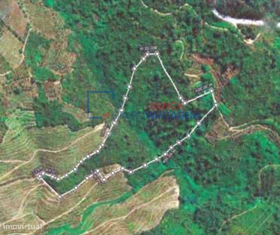 Terreno com mais de 40 000m2, Armamar, Viseu - Grande imagem: 5/6