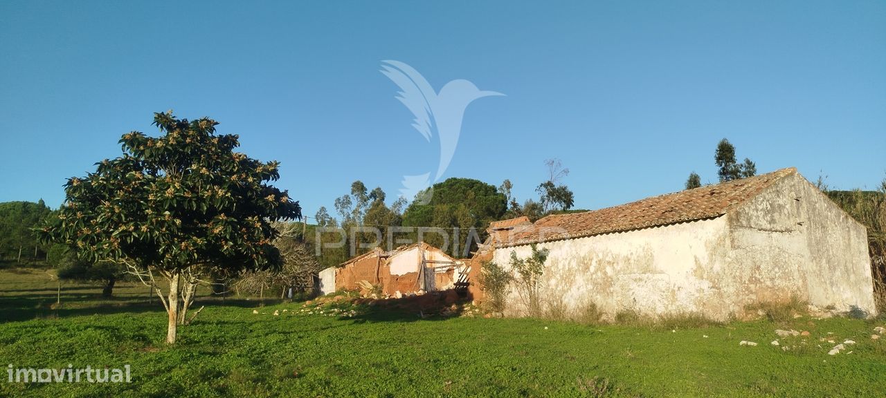 Monte Alentejano perto de Sines - Grande imagem: 1/19
