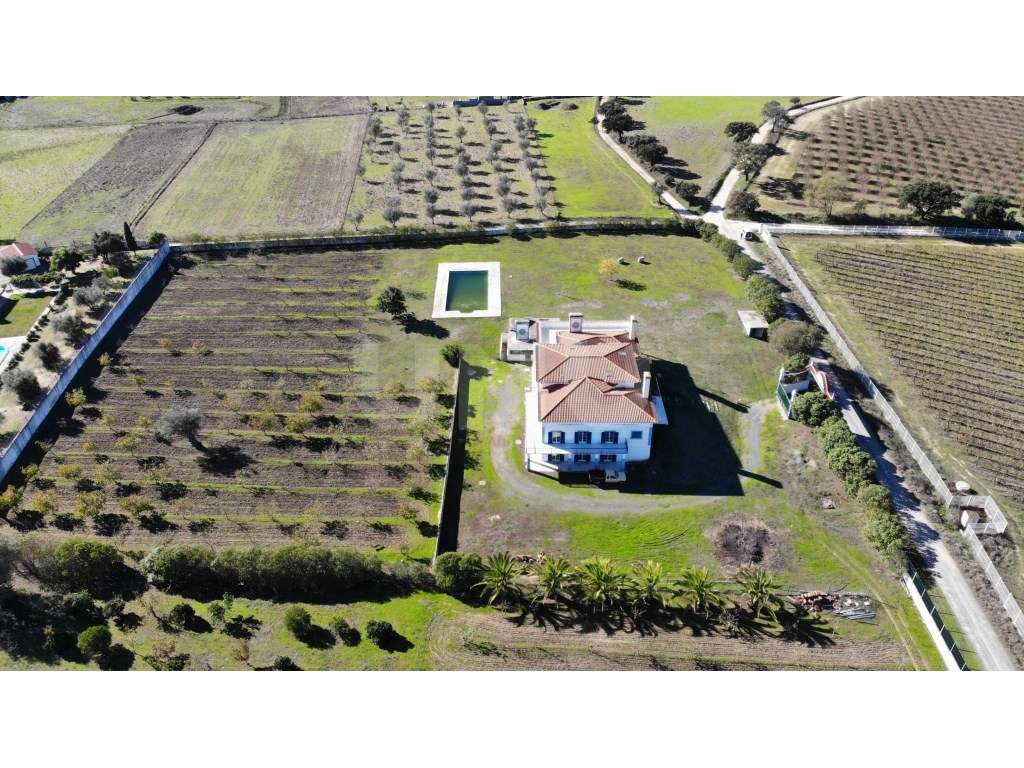 Quinta com 4,8 hectares e casa T9 em Vila Nova da Baronia - Grande imagem: 4/60