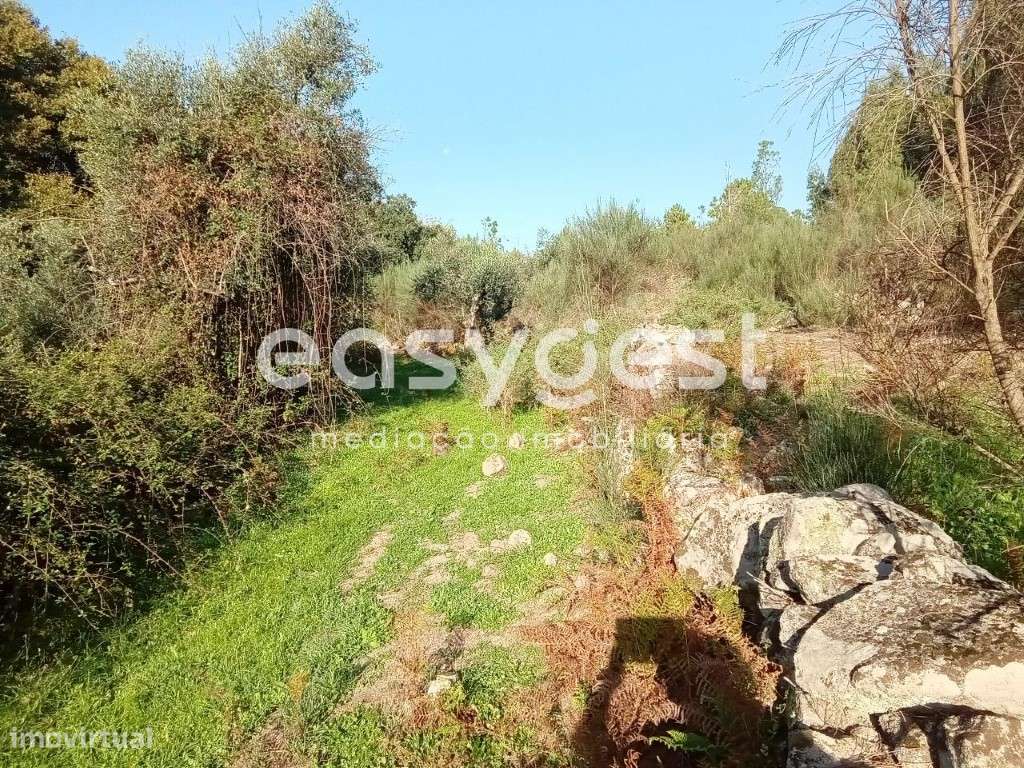 Terreno Rústico com 35000m2 localizado na aldeia de Póvoa Rio Moinhos - Grande imagem: 5/45