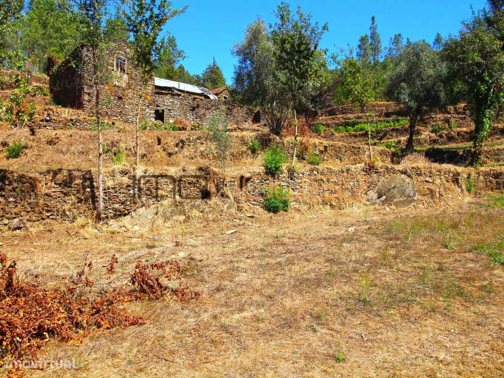 Quinta Isolada com Margem de Rio e Potencial de Eco-Retiro - Arouca-33