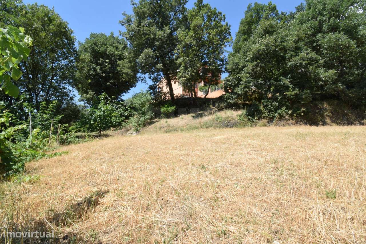 Terreno com 4.522 m² e Viabilidade de Construção - Vila do Carvalho-24