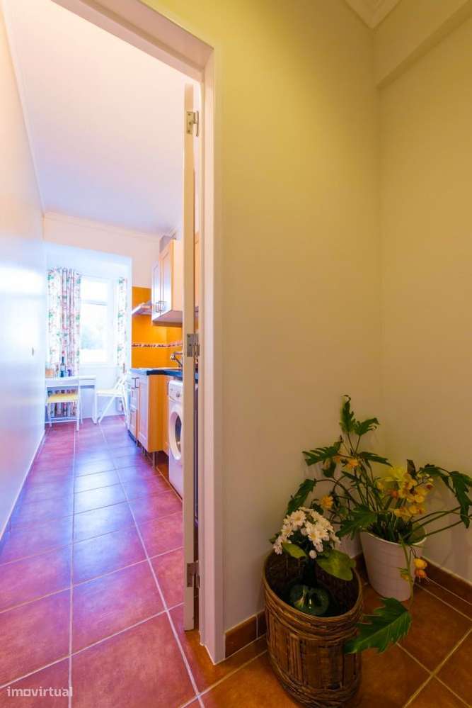 STUDIO junto Hosp Luz, centro comercial Colombo e metro - Grande imagem: 5/15