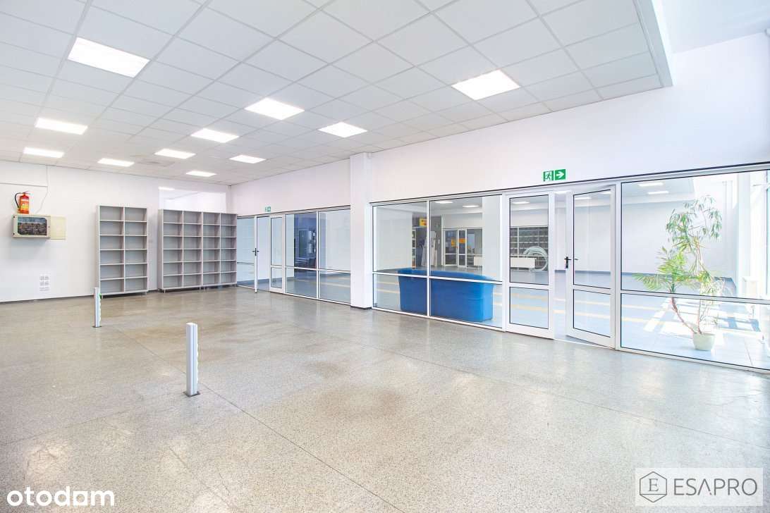 Pow. Handlowa, Pow. Magazynowa, Pow. Biurowa - Duży Parking - Pełny obrazek: 4/9