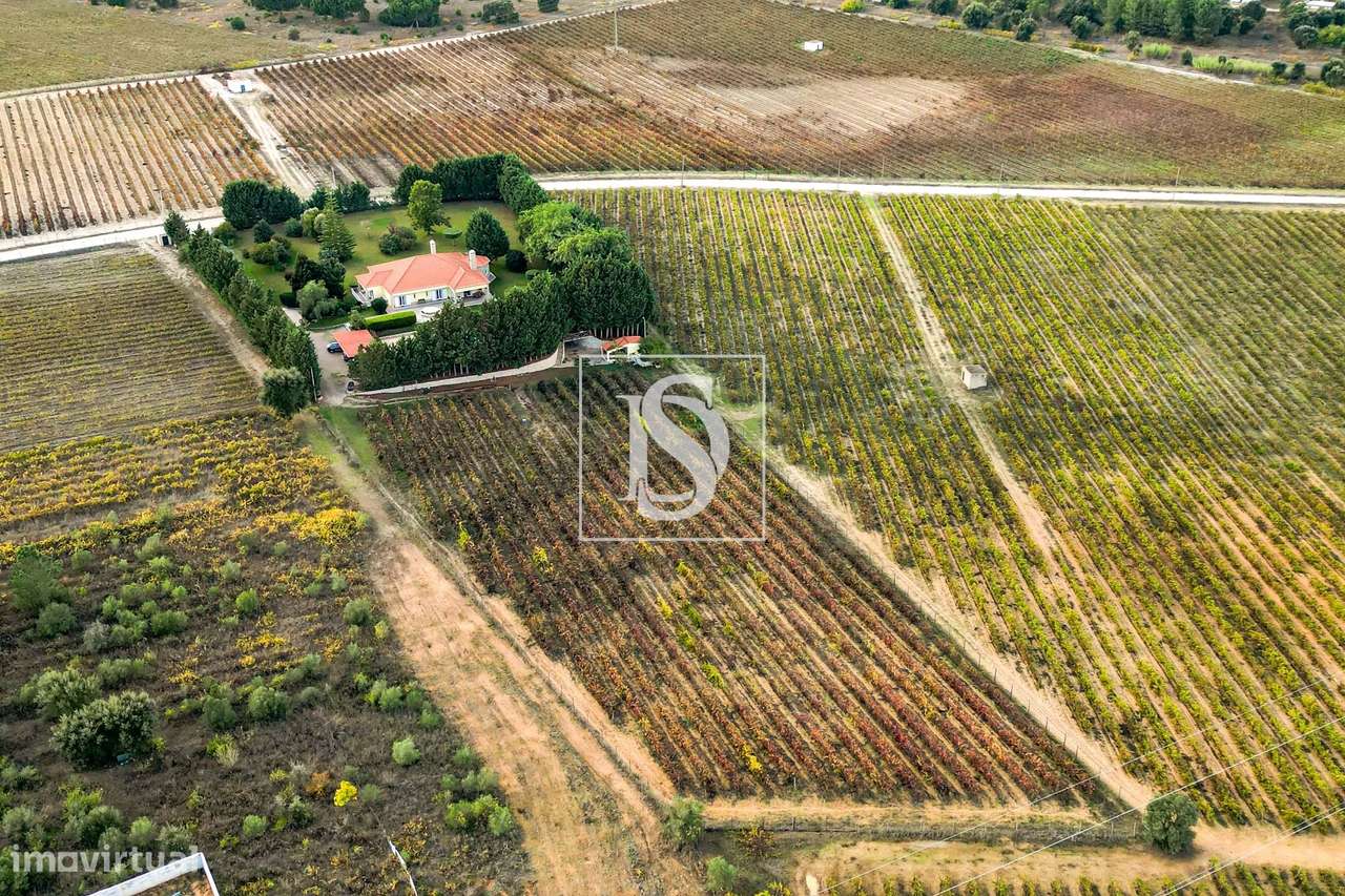 Quinta de Charme em Palmela com Moradia T6, Piscina e Vinha-35