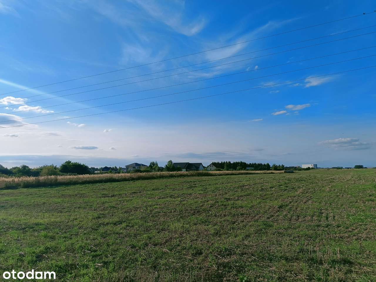 Lusówko - okolice planowanego zbiornika retencyjnego.-5