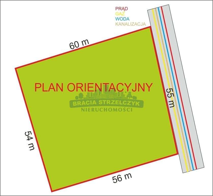 Cichy i zielony Anin-0