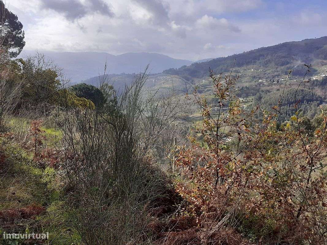Terreno - Venda - Mesquinhata - Grande imagem: 4/9