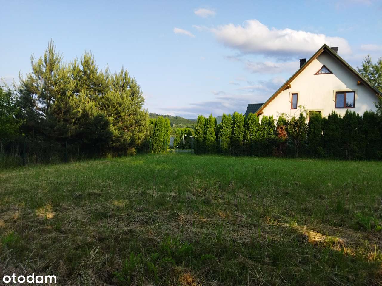 Działka budowlana w Grodźcu - Pełny obrazek: 5/6