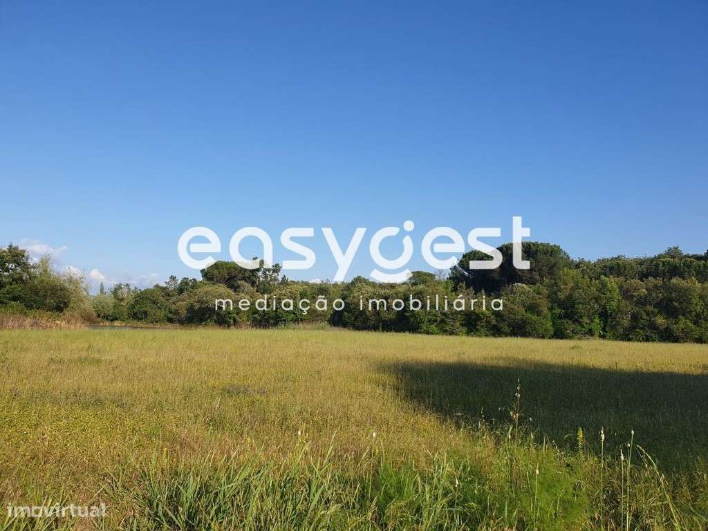 Terreno em Soure - Grande imagem: 2/3