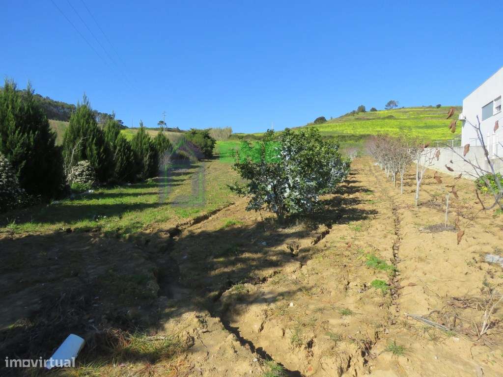 Terreno em Freiria Torres Vedras - Grande imagem: 3/9