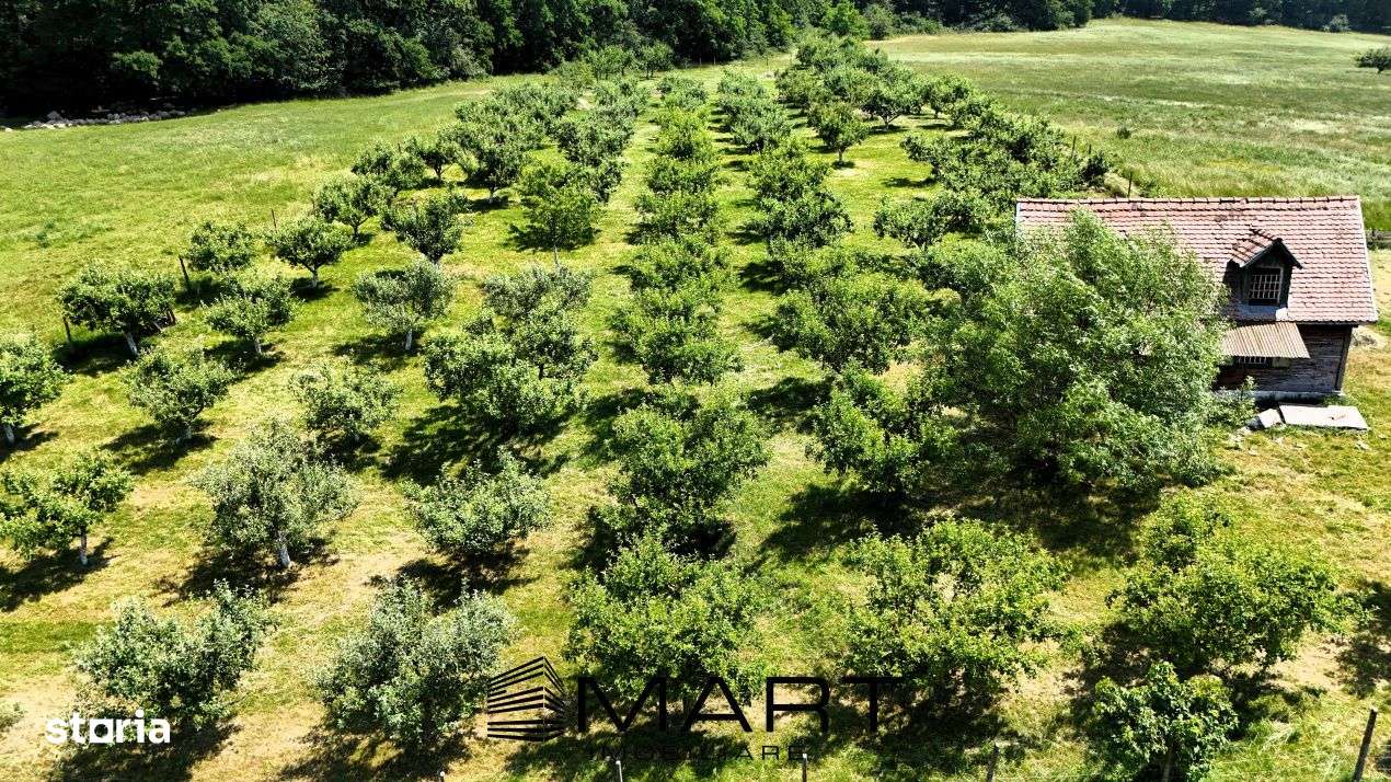 Teren extravilan 5000mp zona Cisnadie - Imagine principală: 4/4